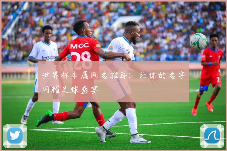世界杯专属网名推荐:让你的名字闪耀足球盛宴