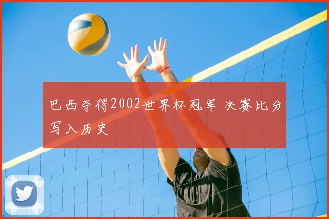 巴西夺得2002世界杯冠军 决赛比分写入历史