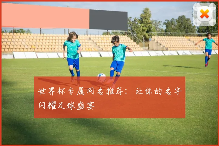 世界杯专属网名推荐:让你的名字闪耀足球盛宴
