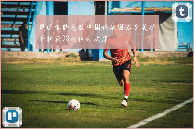 奥运金牌总数中国代表团东京奥运会斩获38枚位列次席