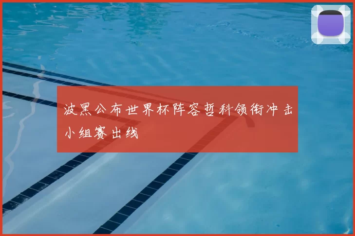 波黑公布世界杯阵容哲科领衔冲击小组赛出线