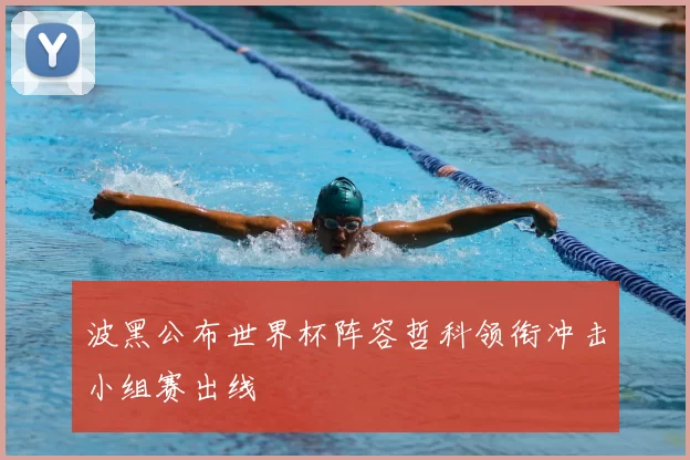 波黑公布世界杯阵容哲科领衔冲击小组赛出线