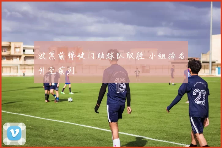 波黑前锋破门助球队取胜 小组排名升至前列