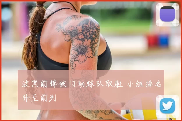 波黑前锋破门助球队取胜 小组排名升至前列