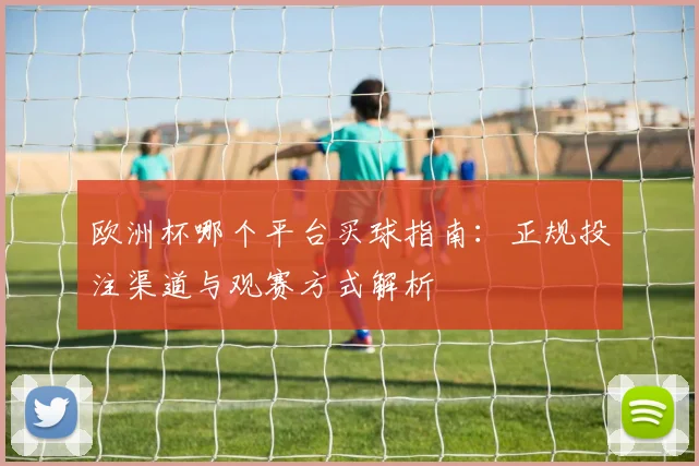 欧洲杯哪个平台买球指南:正规投注渠道与观赛方式解析