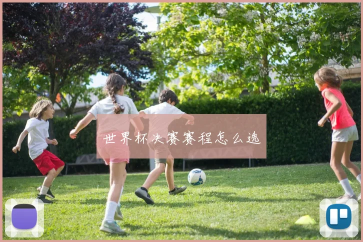 世界杯决赛赛程怎么选