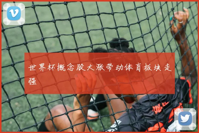 世界杯概念股大涨带动体育板块走强