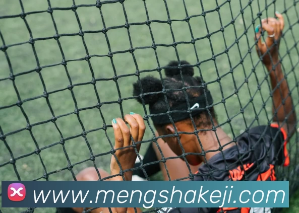 开云app官方在线入口 - 开云(中国)平台生态图